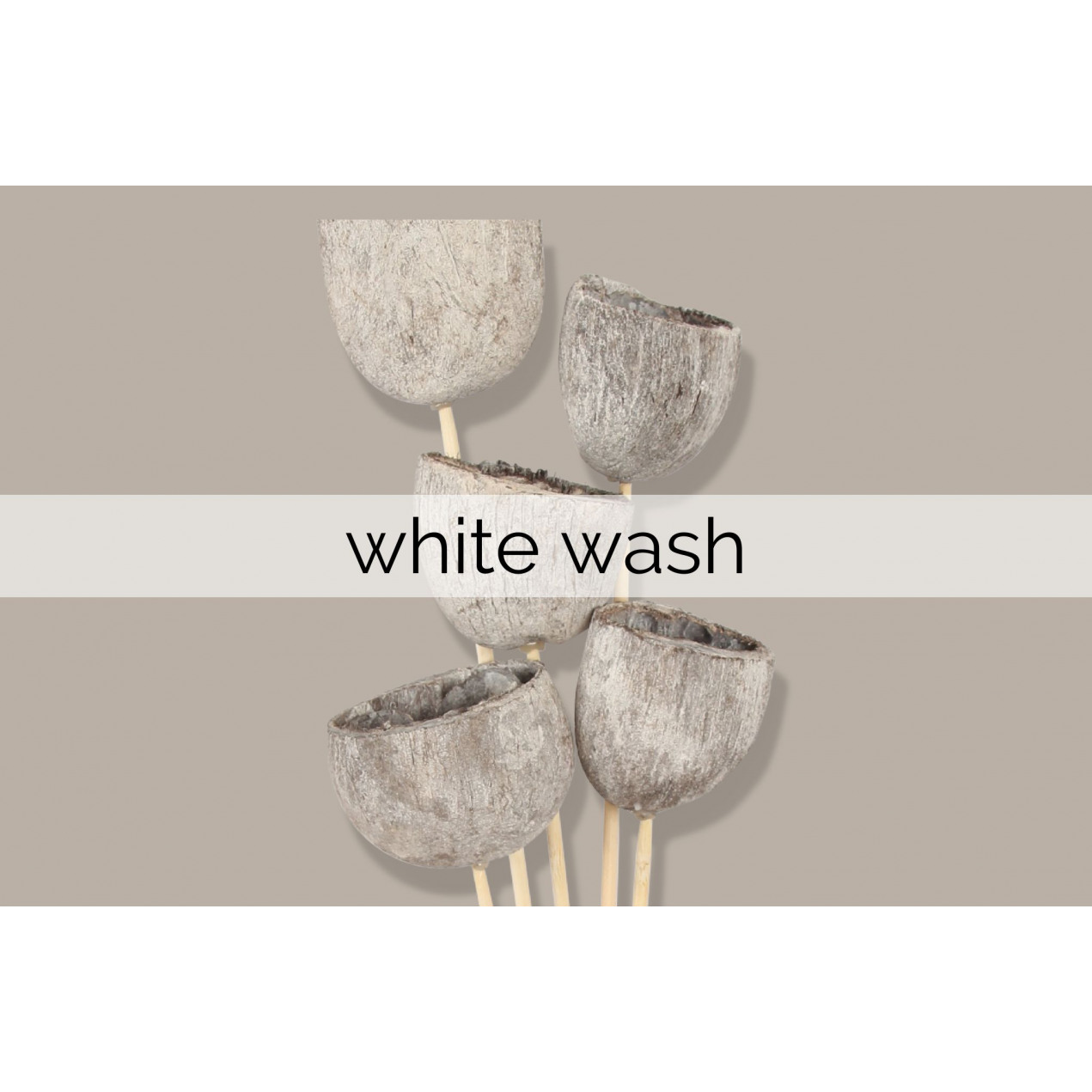 white wash