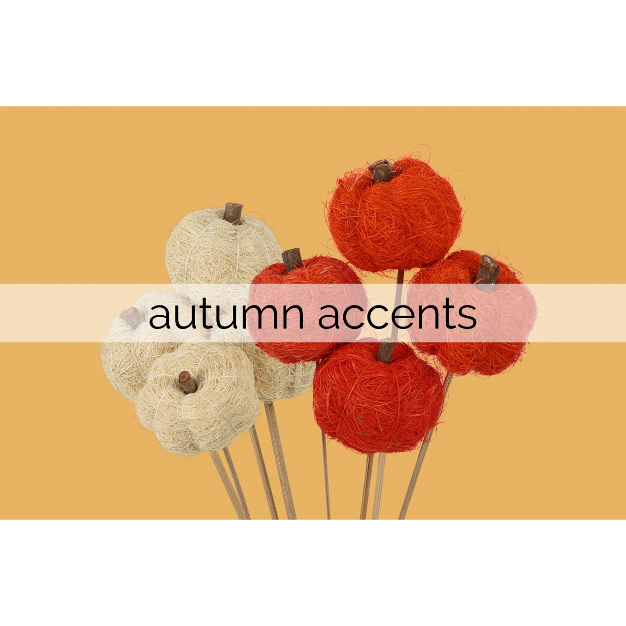 autumn accents