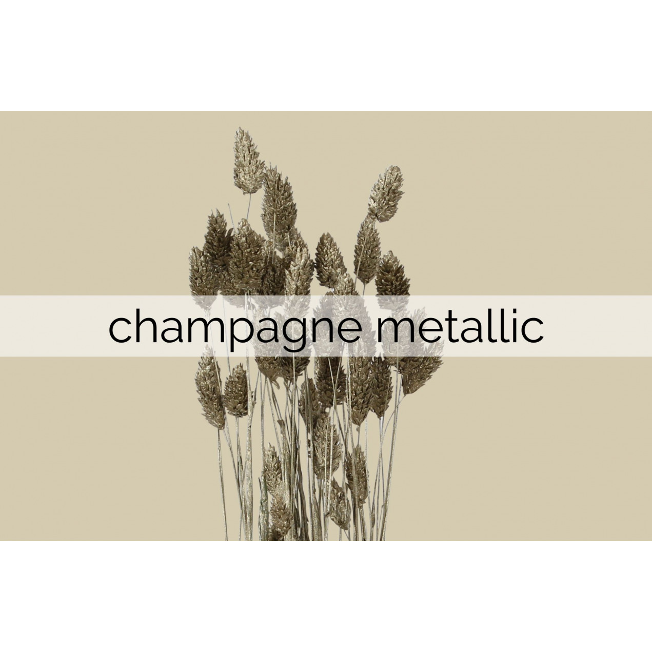 champagne metallic