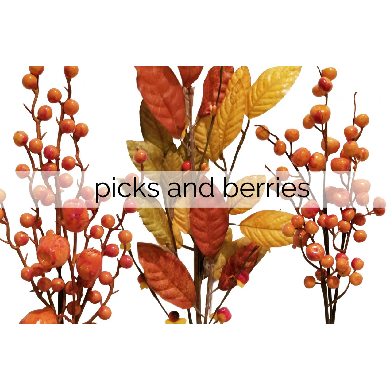 autumn picks and berries