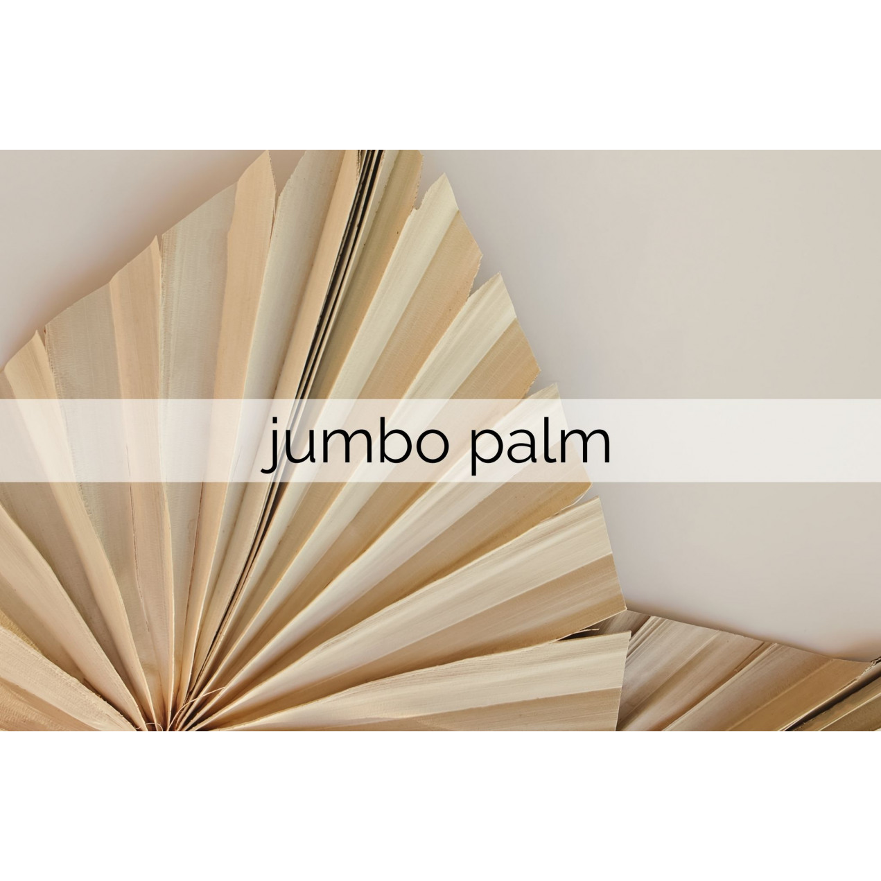 jumbo palm