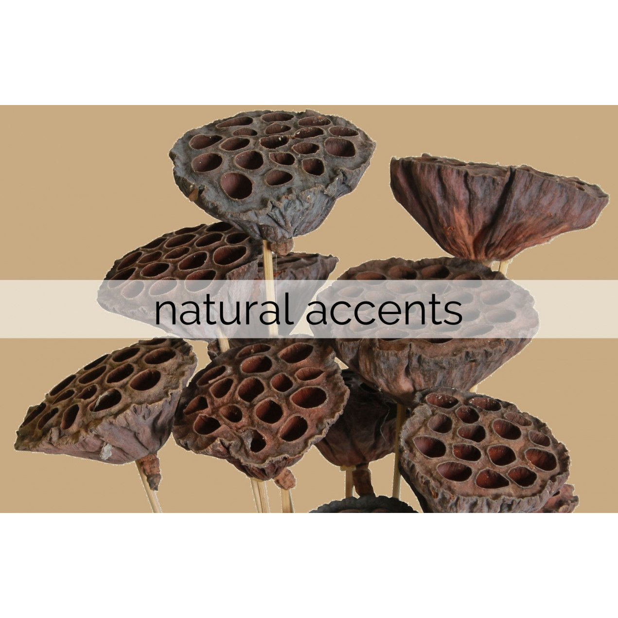 natural accents