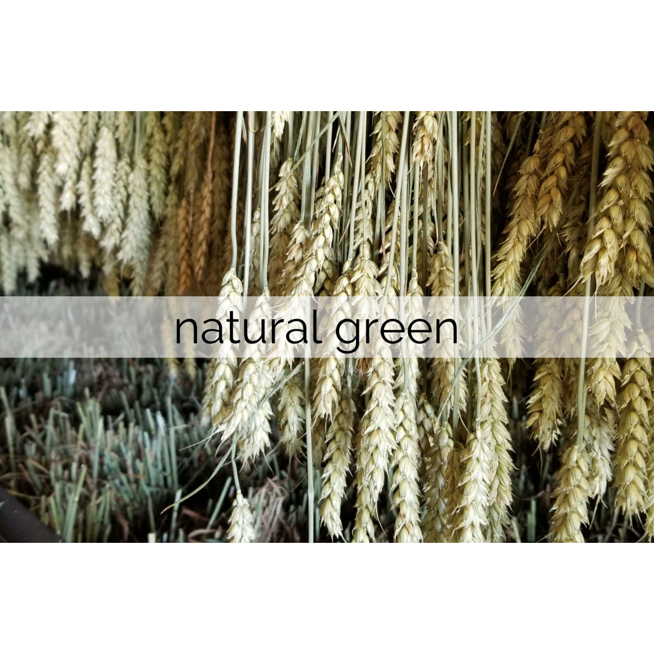 natural green