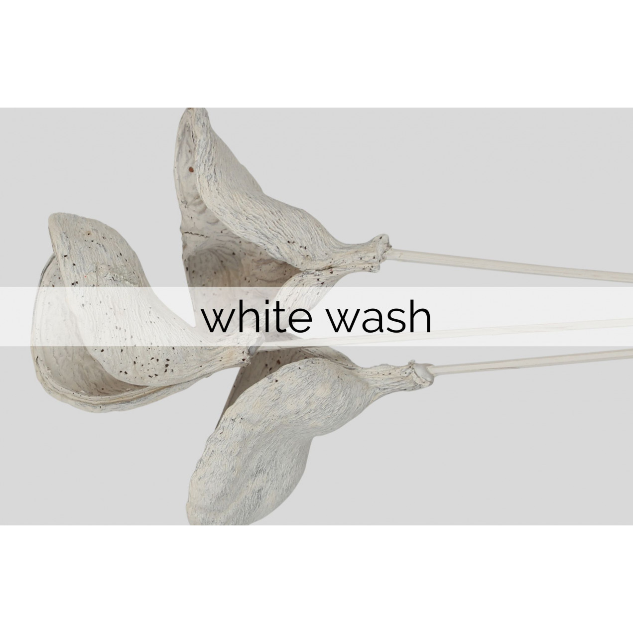 white wash