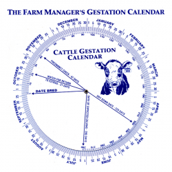Gestation Calendar - Cattle