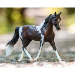 Pinto Horse