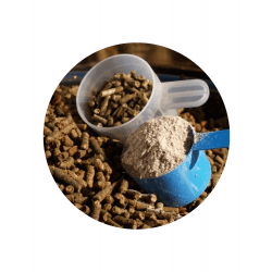 Equine Health