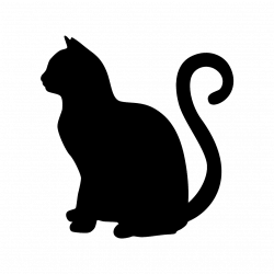 Cat Supplies