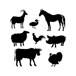 Livestock