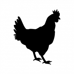 Poultry
