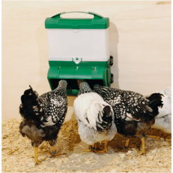 Poultry Feeders