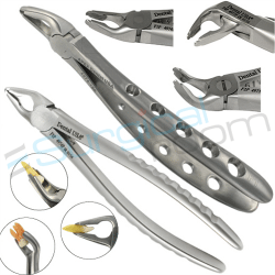 Budget Extraction Forceps