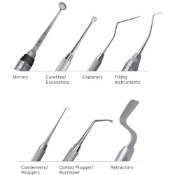 Endodontic Microsurgery