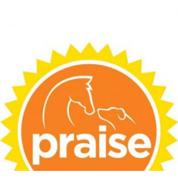 Praise