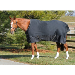 cavaliar_80926711_soft_shell_dress_sheet