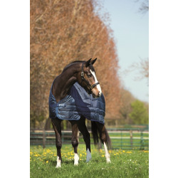 horseware_ireland_abad91_bboo_liner