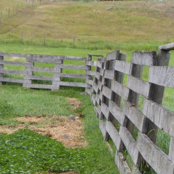 fencing_equipment_and_supplies