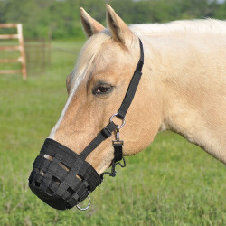 horse_grazing_muzzles_halter_accessories