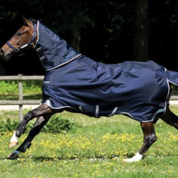 horse_wear_turnout_rugs_and_blankets