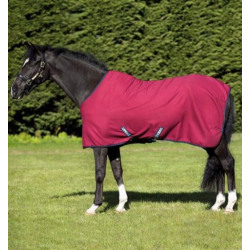 horseare_ireland_acaw62_qk00_cooler