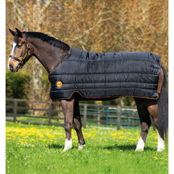 horseware_ireland_ionic_linear_100g_black_orange