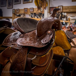 western_saddles_horse_barn