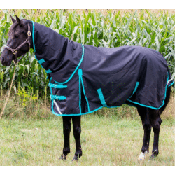Tech Equestrian 1200D 100G Detachable 0G Neck Winter Turnout Blanket Black Turquoise