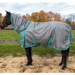 Tech Equestrian 1680D 300G Detachable 150G Neck Winter Turnout Blanket Charcoal Turquoise