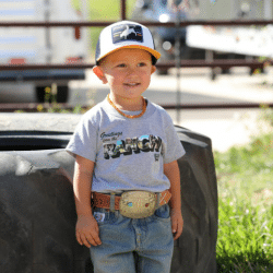 Cinch Boy's Grey T Shirt Greetings From The Ranch