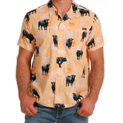 Cinch Men's Orange Cow Print Short Sleeve Button Shirt