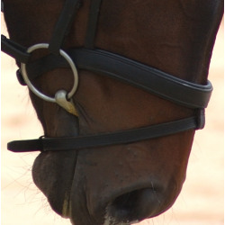 English Horse Bits