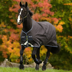 Horseware Ireland Amigo Bravo 12 Original Turnout 100g Lite Blanket Black/Strong Blue