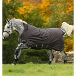 Horseware Ireland Amigo Bravo 12 250g Wug Excal Plum Silver