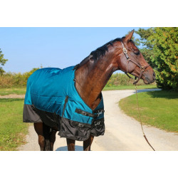 Tech Equestrian Two Tone 300 G 1680 D Winter Blanket Teal Black No Hood