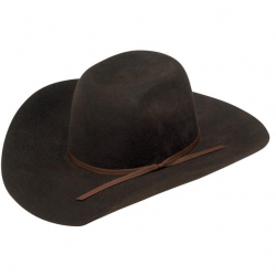 Twister Kids Youth Brown Wool Felt Cowboy Hat