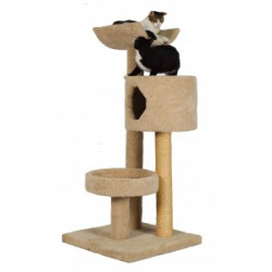 Molly and friends scratching post shop