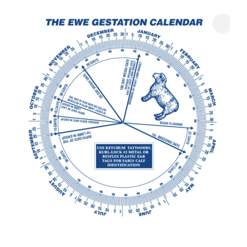 Gestation Calendar - Sheep | CCWG Livestock Supplies & Equestrian Centre