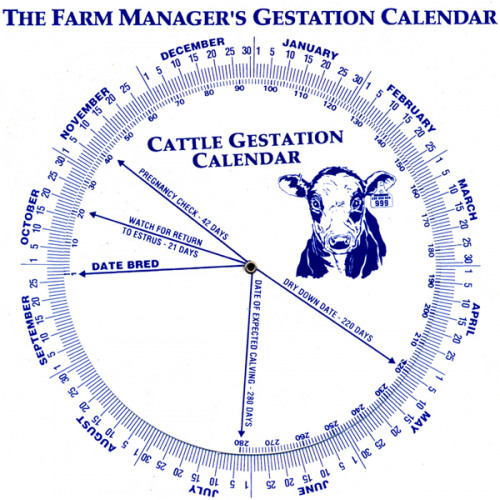 gestation-calendar-beef-cattle-ccwg-livestock-supplies