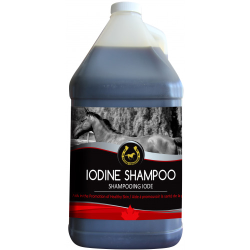 Iodine Shampoo 4L - Golden Horseshoe NN.W4R1 | My Equine Store