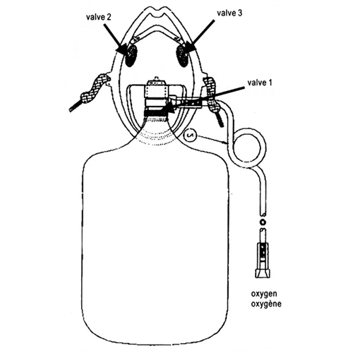One continuous line drawing wetsuit swimsuit regulator oxygen mask  snorkel goggle and fins Water sport scuba diving equipment concept  Dynamic single line draw design vector graphic illustration 7767983 Vector  Art at Vecteezy