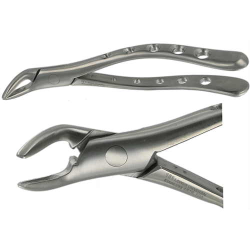 AMERICAN FORCEPS 151 LOWER PREMOLAR The Surgical Room