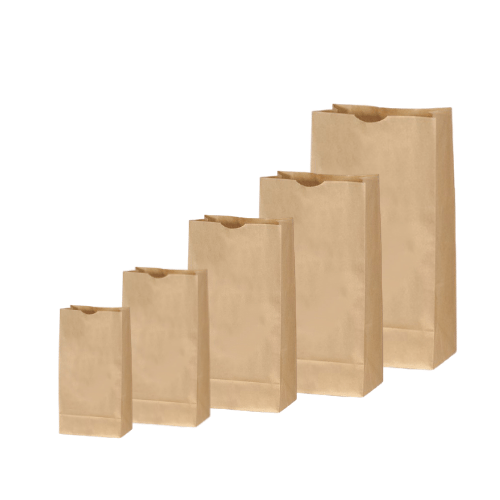 Paper Kraft Bags