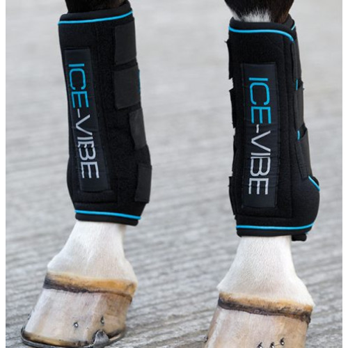 guess flat boots