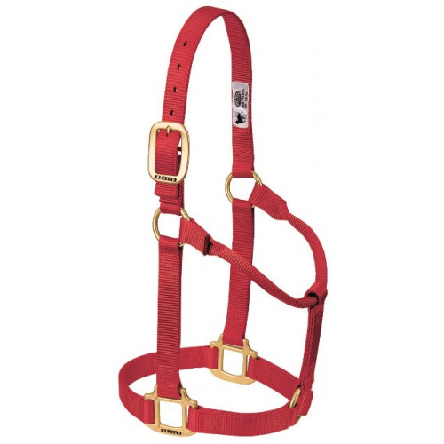 Tough 1 Brown Leather Weanling Size Churchill Stable Halter w//Snap 44-2033