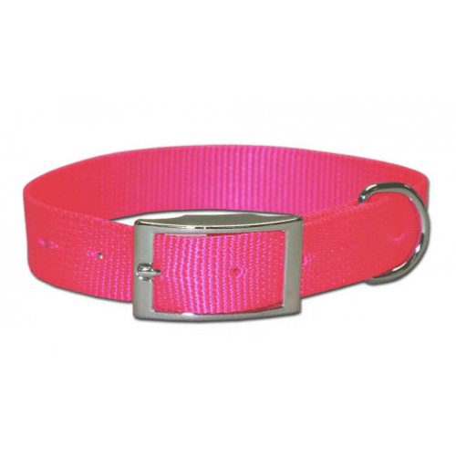 Neon collar sales