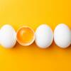 Egg