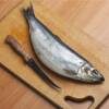 Fish Fillet & Boning Knives