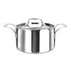 Stainless Steel Pots