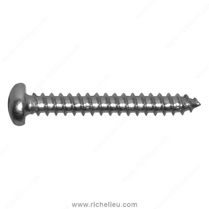 #10 X 1" PAN TAP SCREW ZC (100)