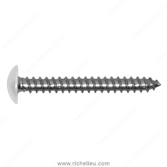 #8 X 1" TRUSS SCREW WHT 100PK